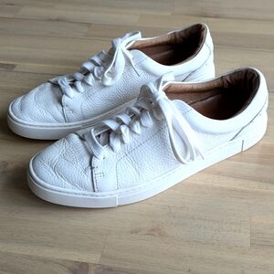 FRYE Ivy Low Lace Sneakers (Women's‎ size 9)